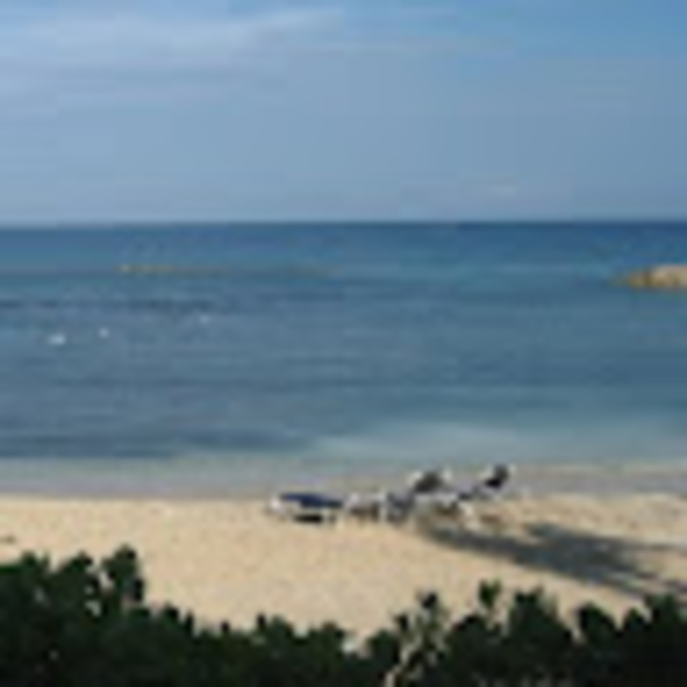 Meet your Posher, Judith